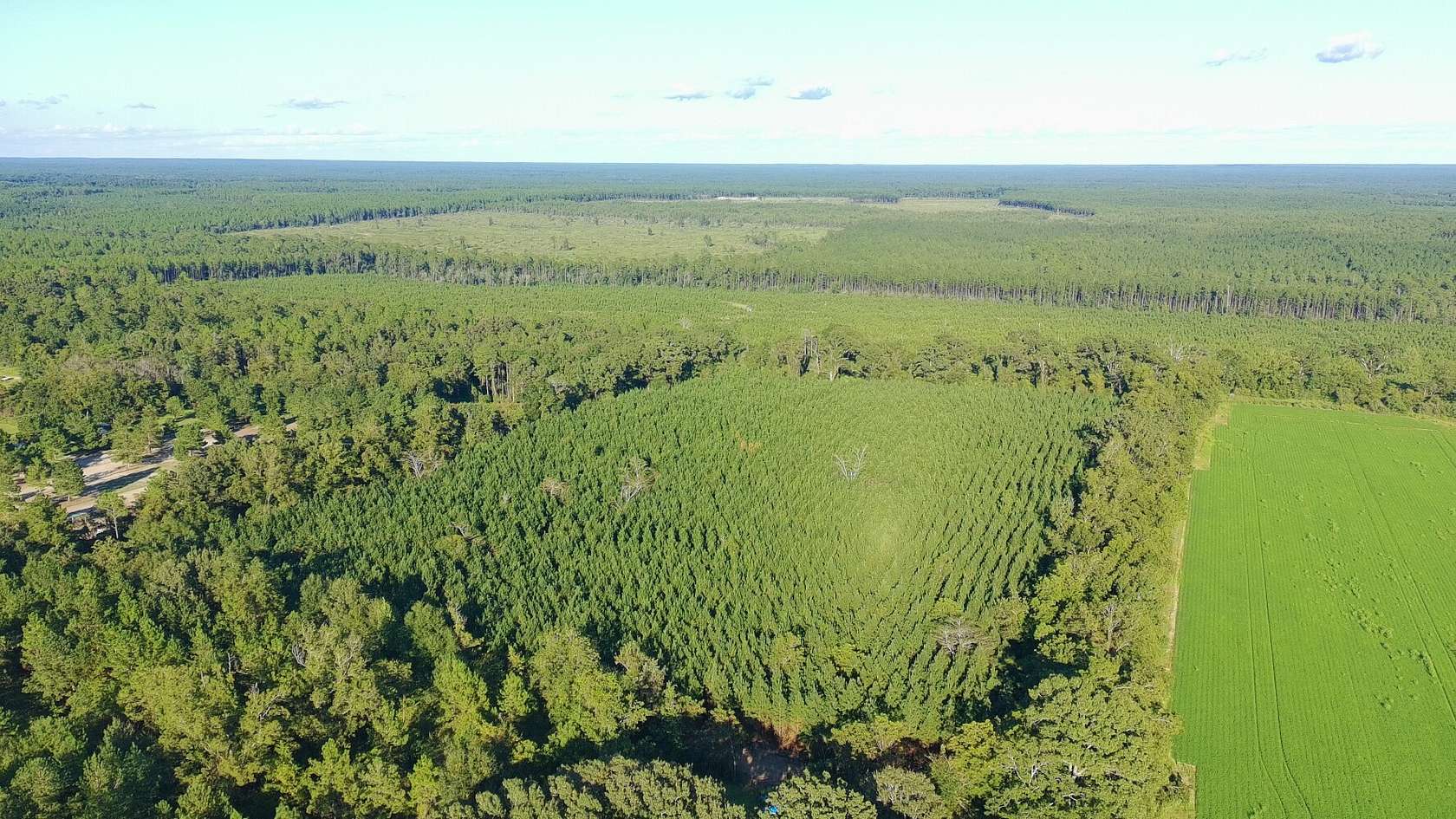 20 Acres of Land for Sale in Milton, Florida