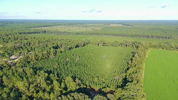 20 Acres of Land for Sale in Milton, Florida
