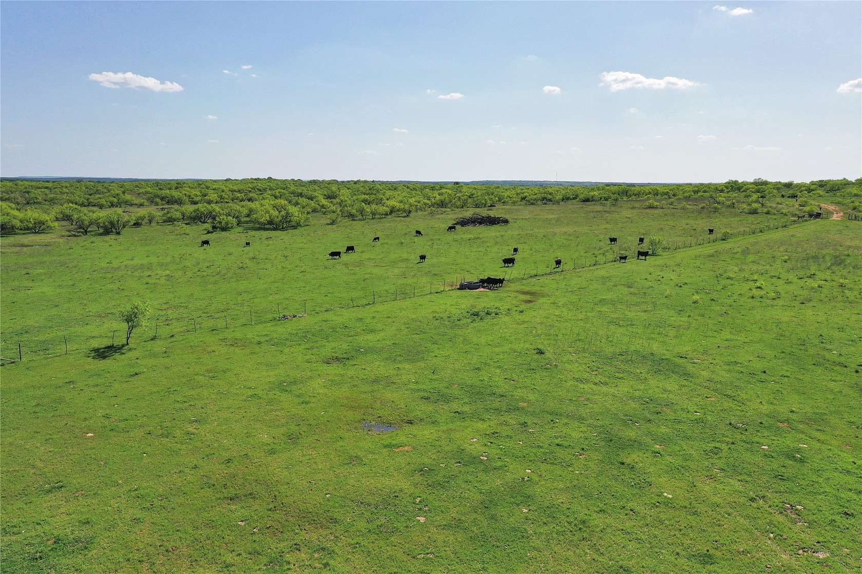 55 Acres of Land for Sale in Jacksboro, Texas