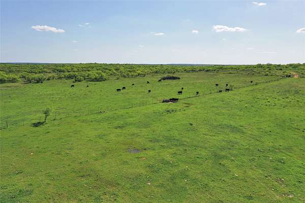 55 Acres of Land for Sale in Jacksboro, Texas