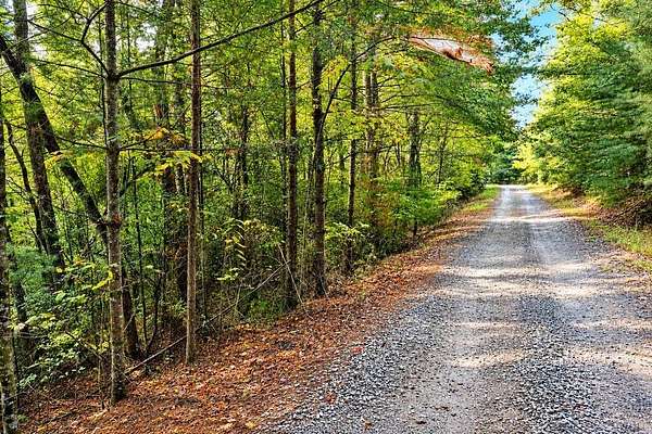 2.2 Acres of Land for Sale in Blue Ridge, Georgia