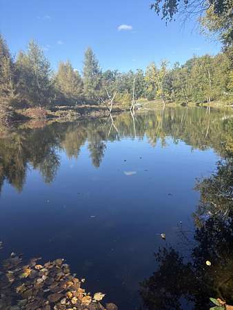 0.3 Acres of Residential Land for Sale in Canadian Lakes, Michigan