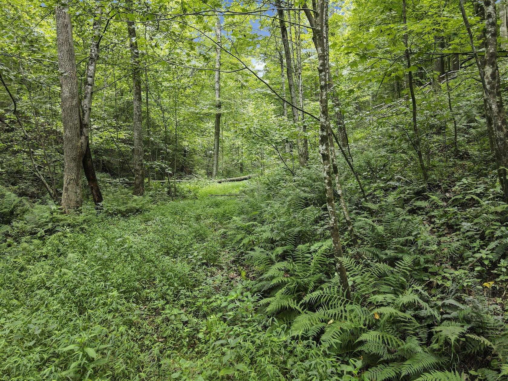 40 Acres of Recreational & Residential Land for Sale in South Bloomingville, Ohio