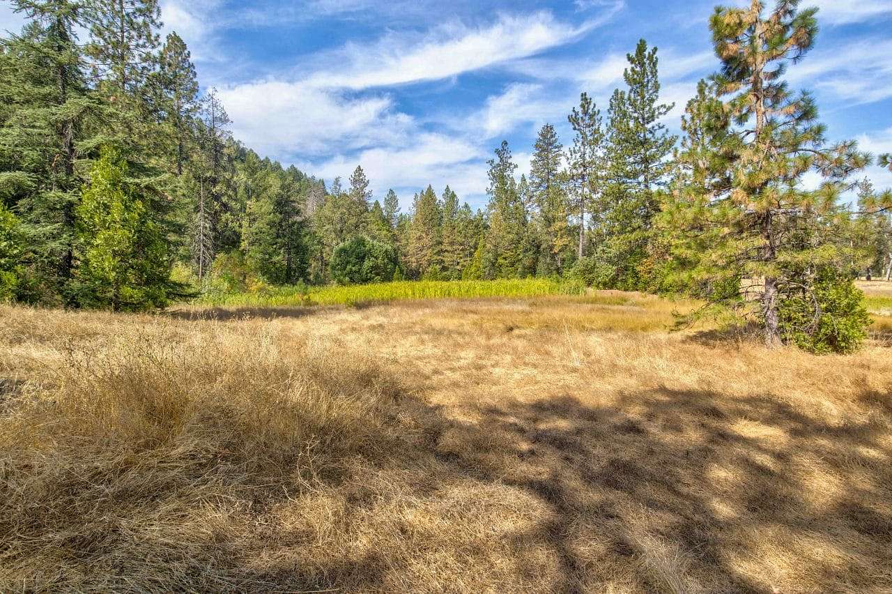 30.6 Acres of Recreational & Residential Land for Sale in Pioneer, California