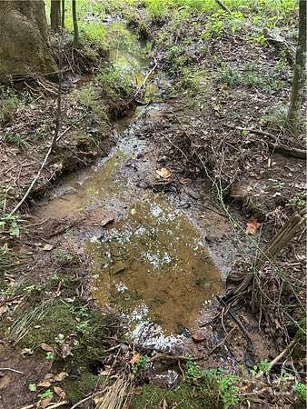10.6 Acres of Land for Sale in Bogart, Georgia