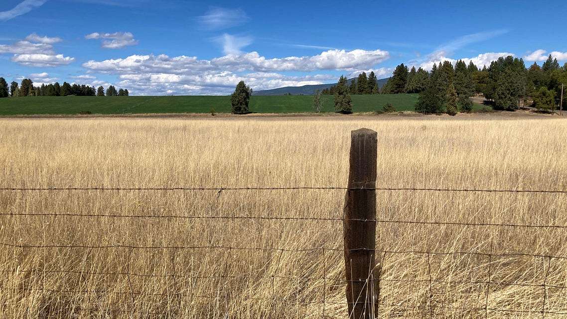 10.6 Acres of Land for Sale in McArthur, California
