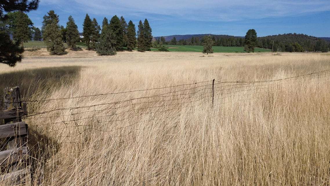 4.88 Acres of Land for Sale in McArthur, California