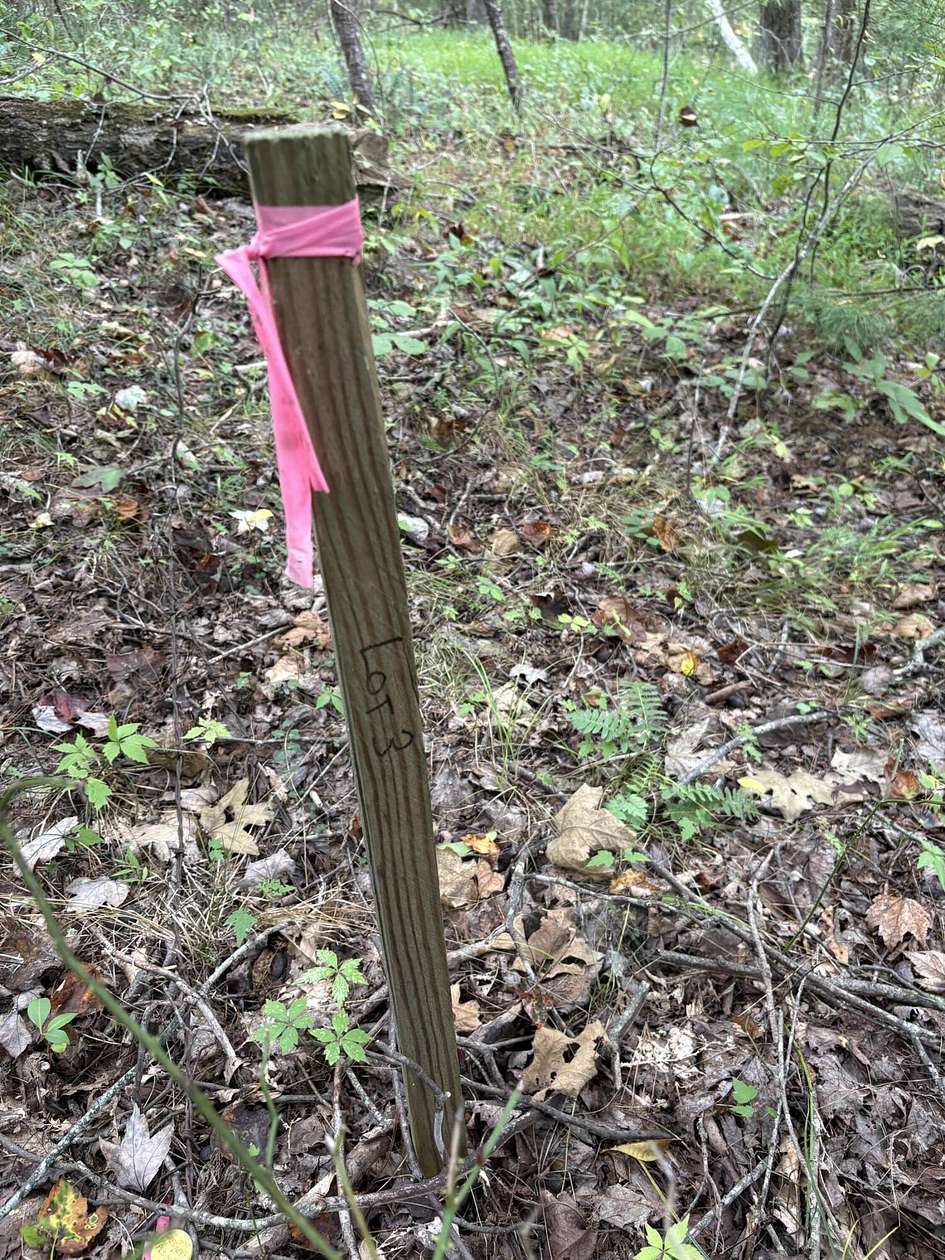 0.27 Acres of Land for Sale in Rogers, Kentucky