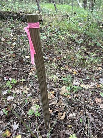 0.27 Acres of Land for Sale in Rogers, Kentucky
