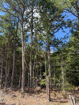 1 Acre of Residential Land for Sale in Elizabeth, Arkansas
