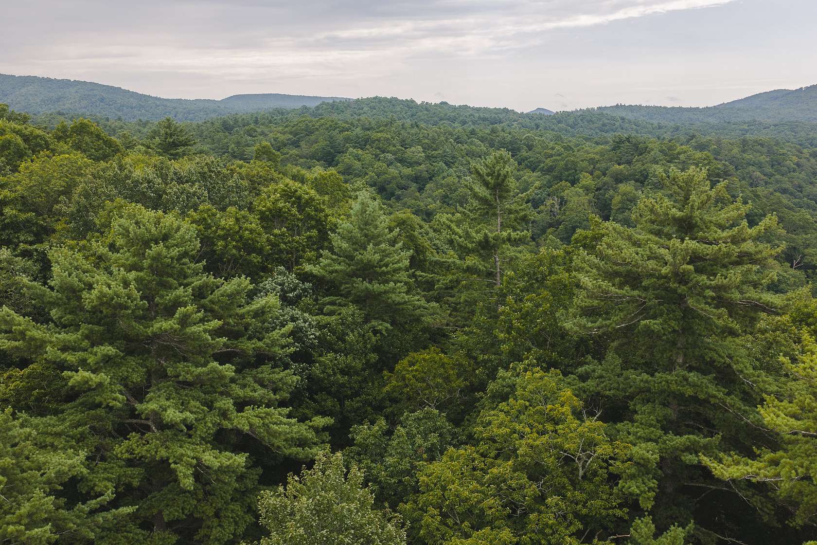 0.98 Acres of Residential Land for Auction in Marion, North Carolina
