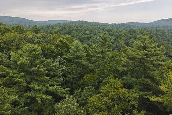 0.98 Acres of Residential Land for Auction in Marion, North Carolina
