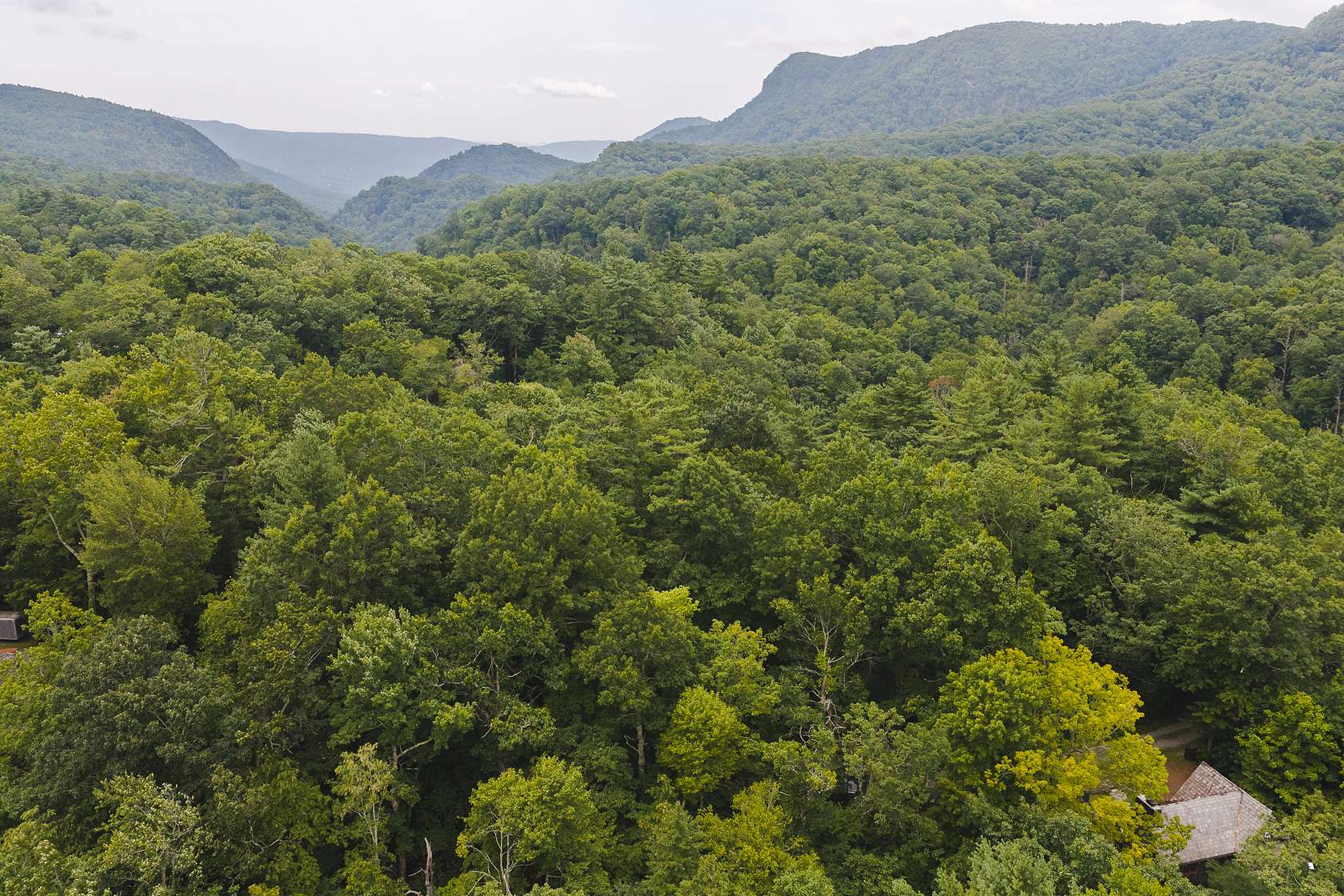 6.43 Acres of Agricultural Land for Auction in Marion, North Carolina