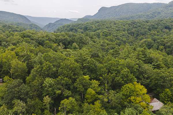 6.43 Acres of Agricultural Land for Auction in Marion, North Carolina