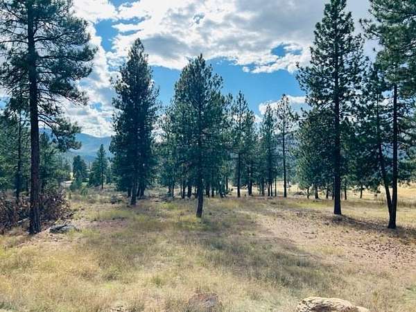 4.56 Acres of Land for Sale in Plains, Montana