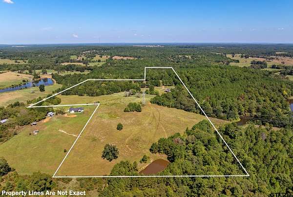 41.8 Acres of Agricultural Land with Home for Sale in Tyler, Texas