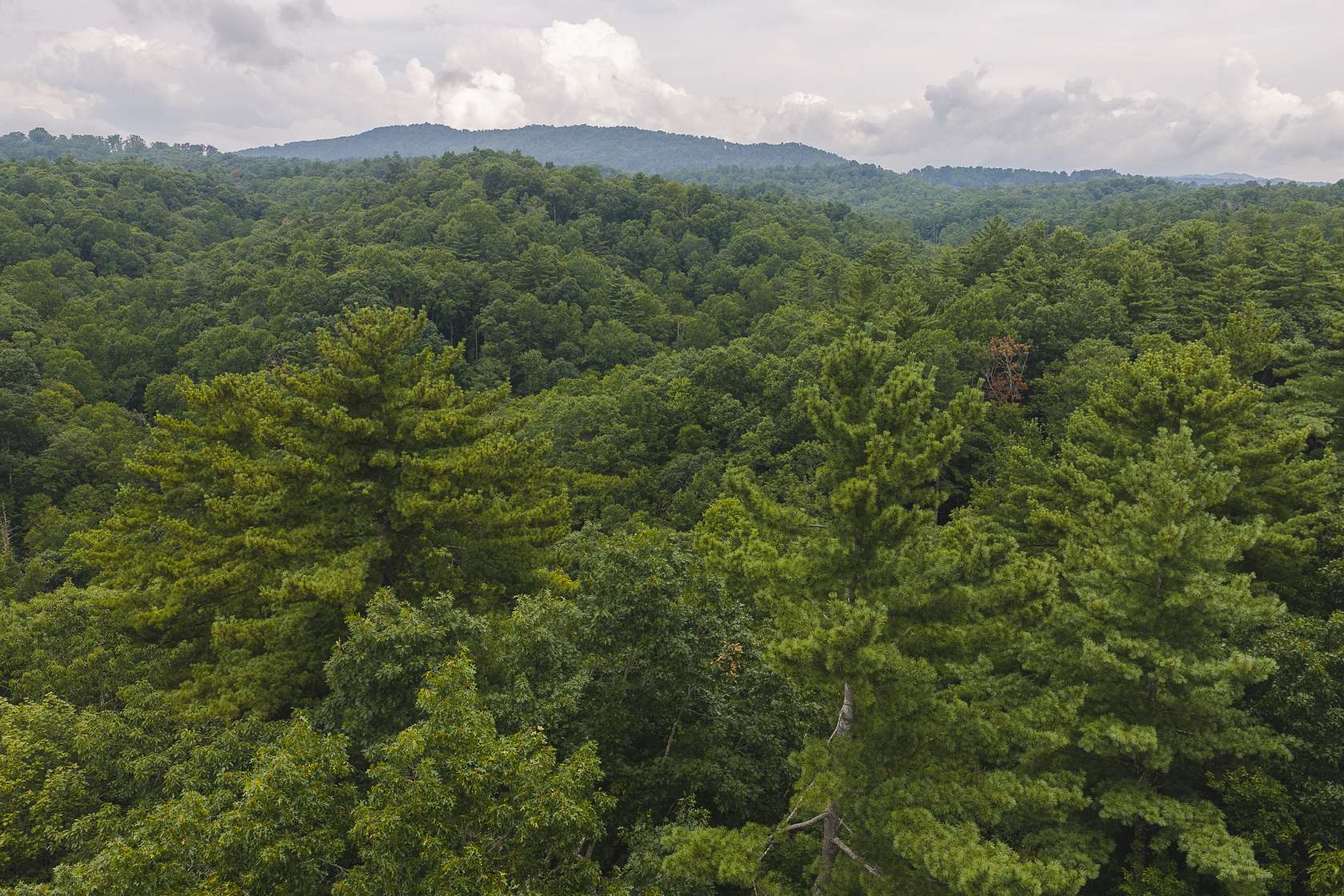 0.98 Acres of Residential Land for Auction in Marion, North Carolina