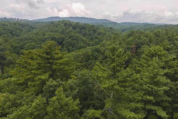 0.98 Acres of Residential Land for Auction in Marion, North Carolina