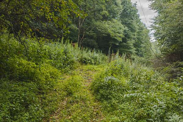 2.63 Acres of Land for Auction in Newland, North Carolina
