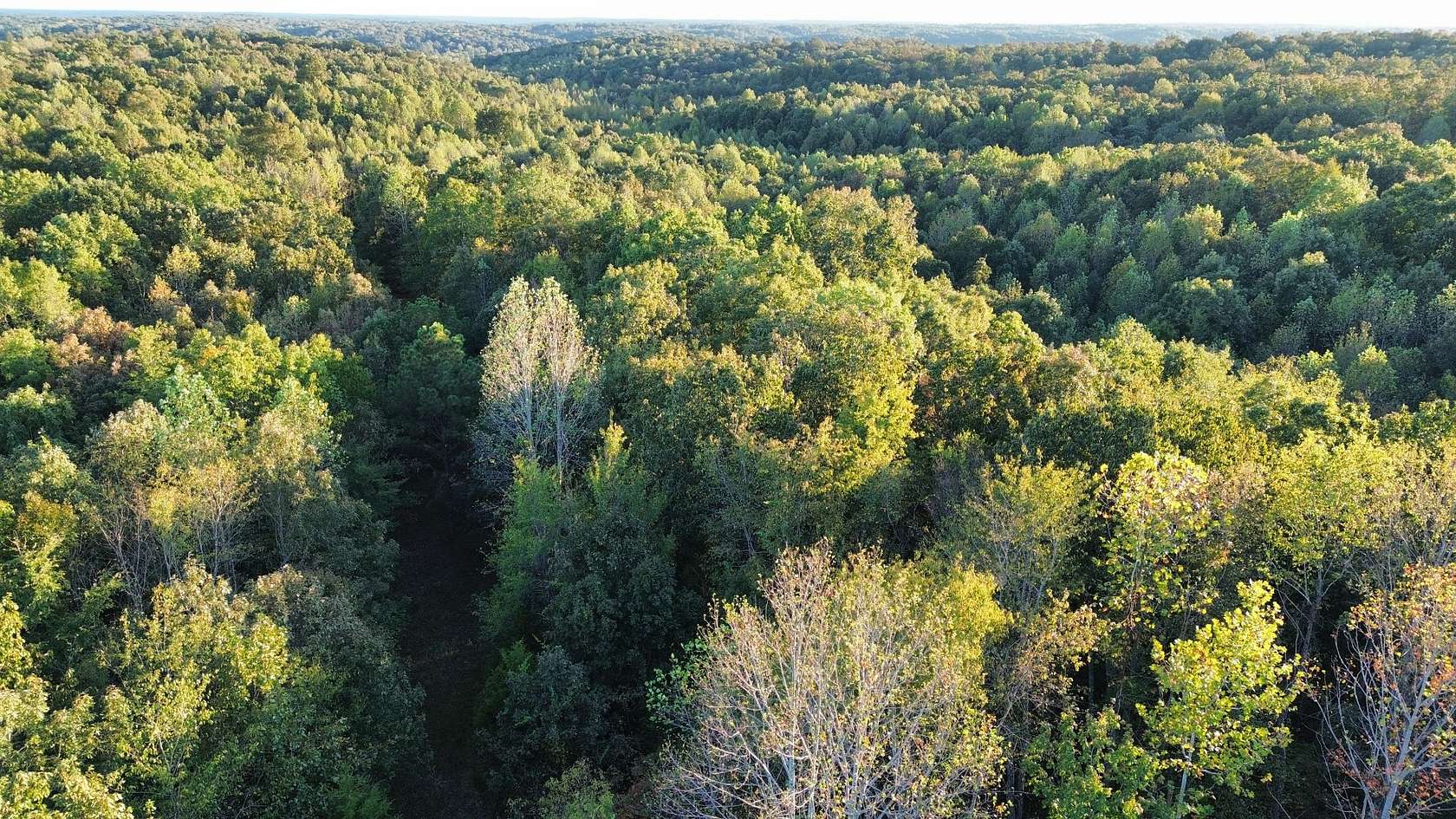 55 Acres of Recreational & Residential Land for Sale in Waverly, Tennessee