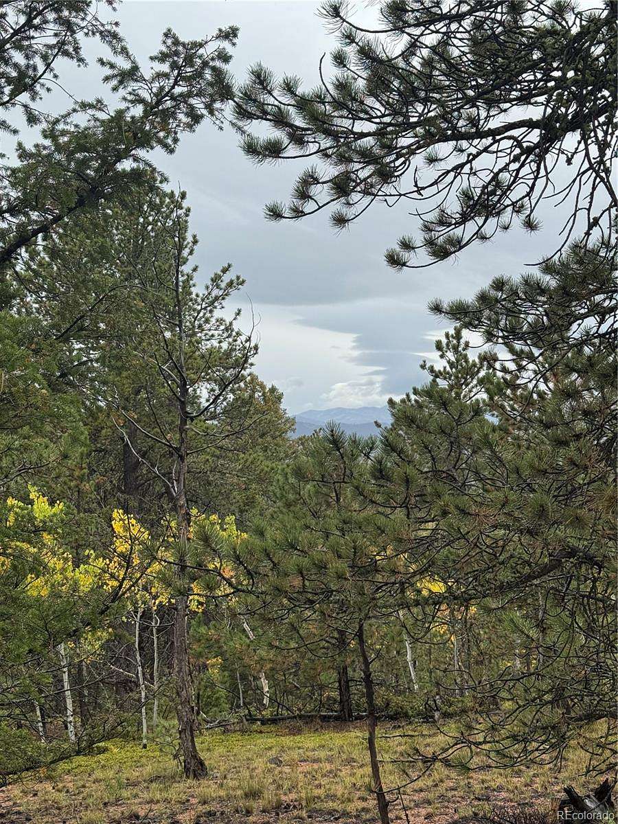 5.34 Acres of Land for Sale in Divide, Colorado