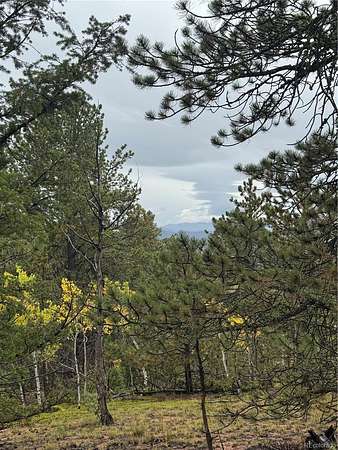 5.34 Acres of Land for Sale in Divide, Colorado