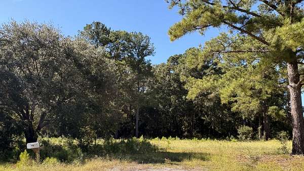 1.6 Acres of Residential Land for Sale in Cross, South Carolina