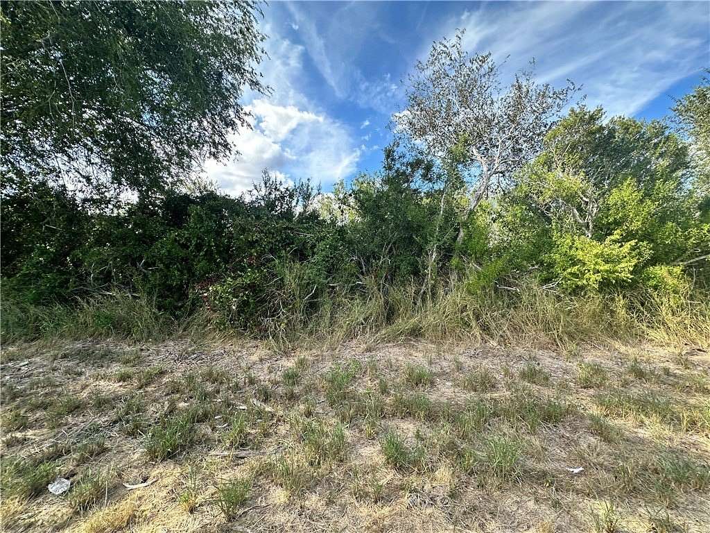 24.4 Acres of Recreational Land for Sale in Beeville, Texas
