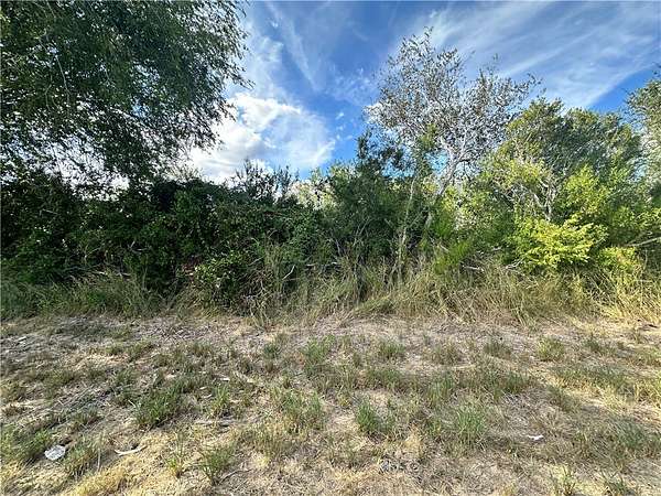 24.4 Acres of Recreational Land for Sale in Beeville, Texas