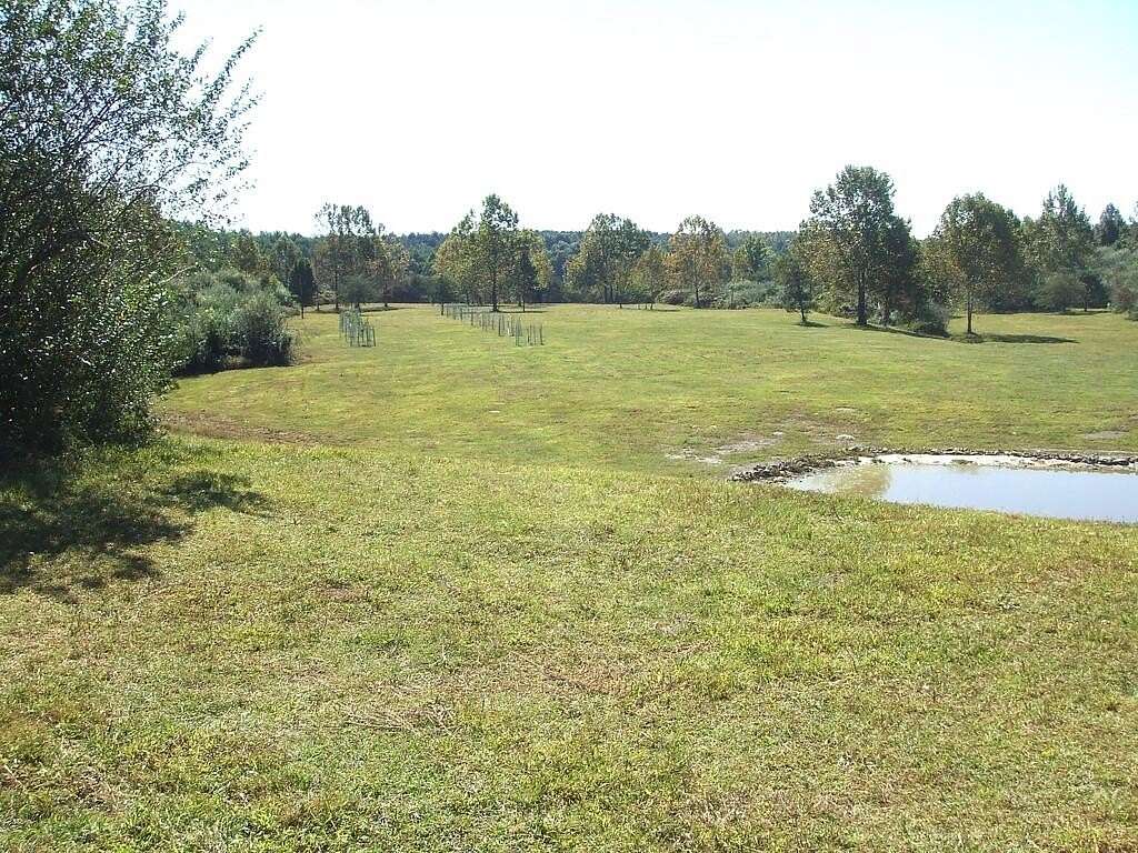 295 Acres of Recreational & Residential Land for Sale in Jackson, Kentucky