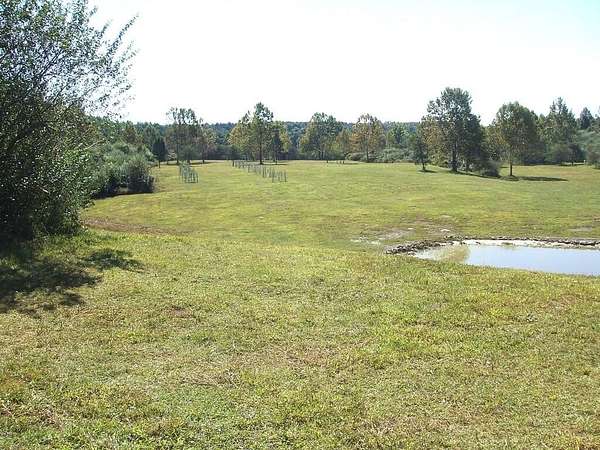 295 Acres of Recreational & Residential Land for Sale in Jackson, Kentucky