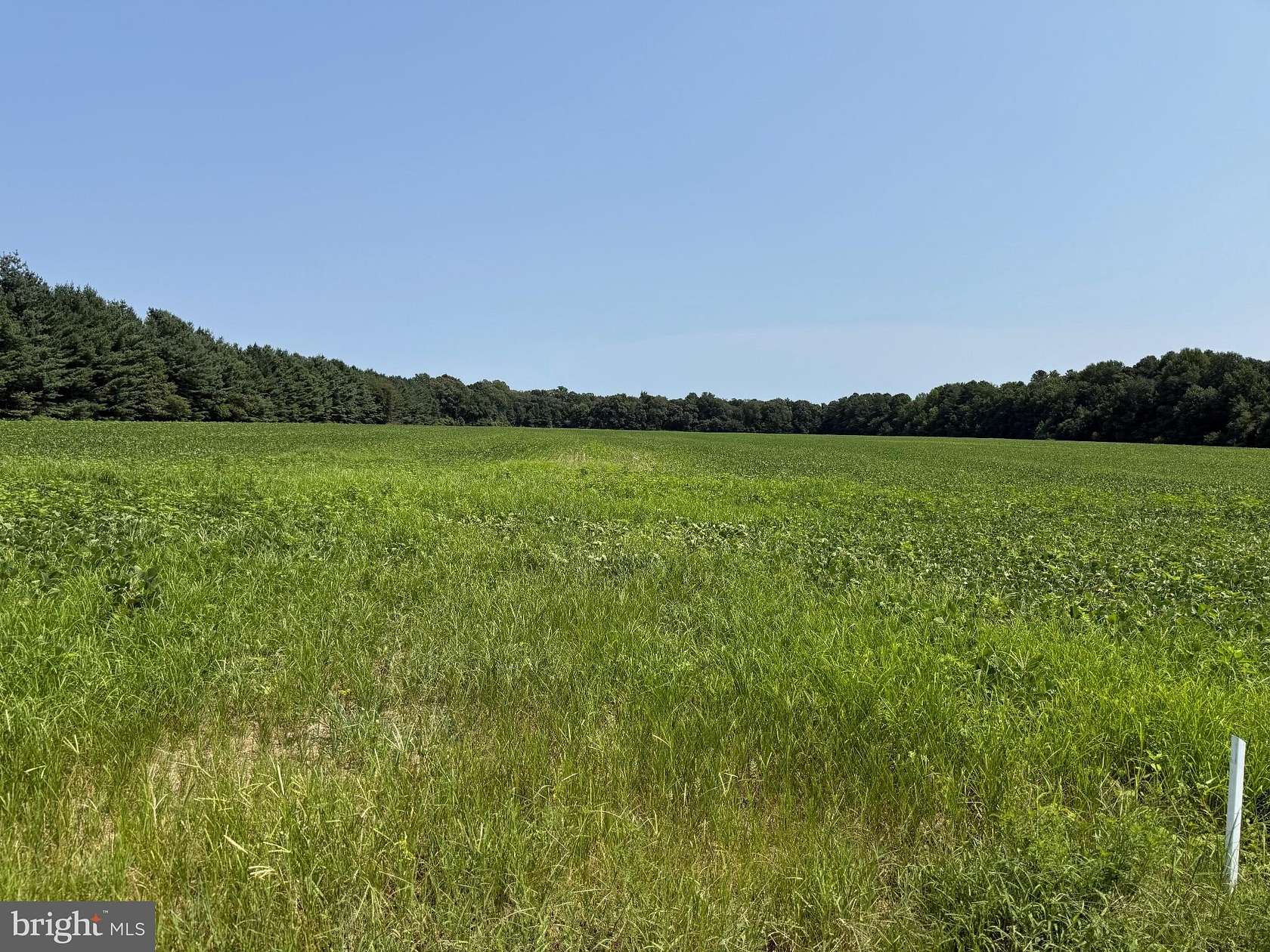 44.5 Acres of Recreational & Residential Land for Sale in Preston, Maryland