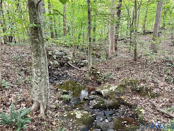10.7 Acres of Recreational & Residential Land for Sale in Victoria, Virginia