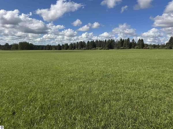 11.7 Acres of Land for Sale in Hale, Michigan
