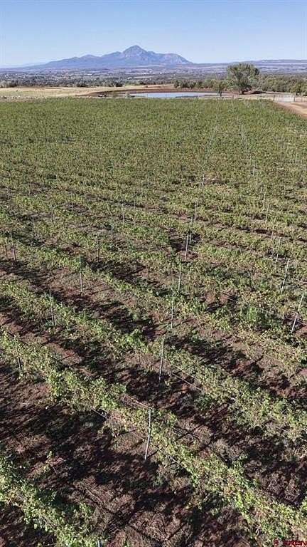 44 Acres of Agricultural & Residential Land for Sale in Dolores, Colorado
