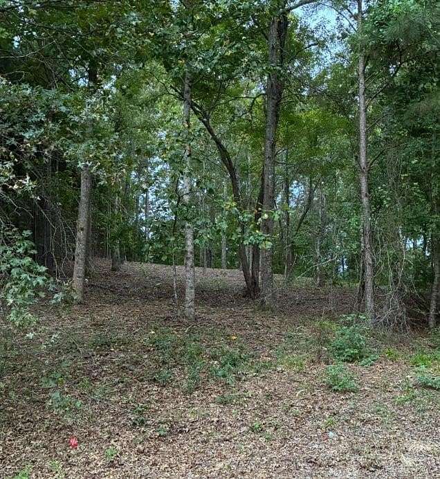 1 Acre of Residential Land for Sale in McDonough, Georgia