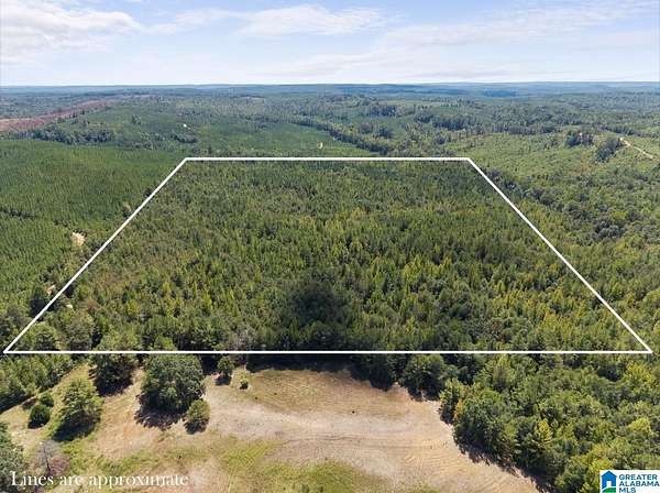 60 Acres of Land for Sale in Plantersville, Alabama