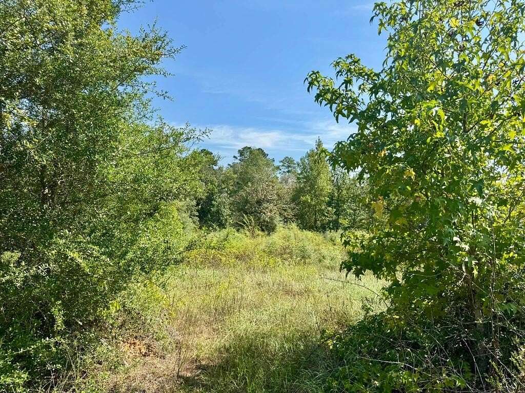11 Acres of Recreational & Residential Land for Sale in Spurger, Texas