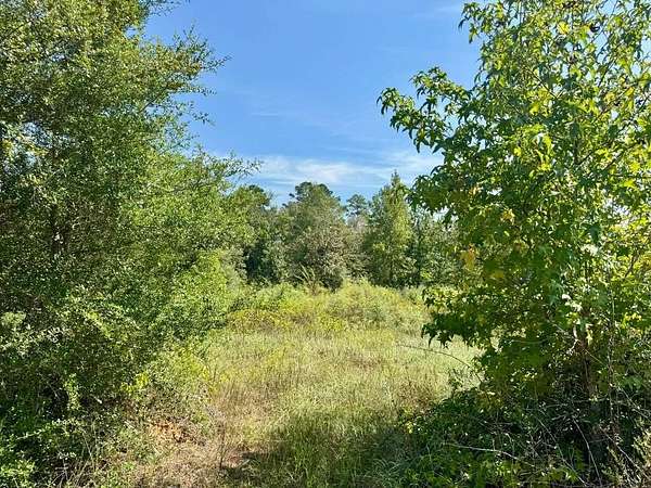 11 Acres of Recreational & Residential Land for Sale in Spurger, Texas