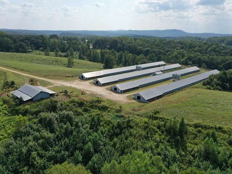 28 Acres of Agricultural Land for Sale in Ranburne, Alabama