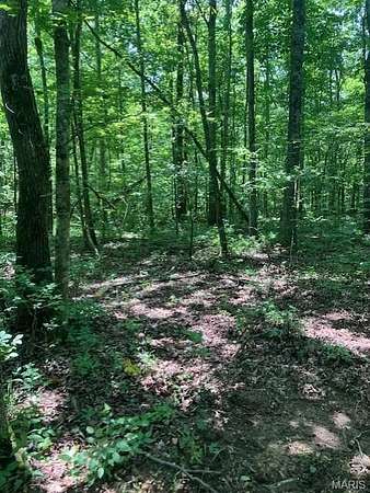8.43 Acres of Residential Land for Sale in Fredericktown, Missouri
