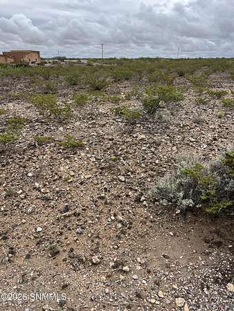 Residential Land for Sale in Elephant Butte, New Mexico
