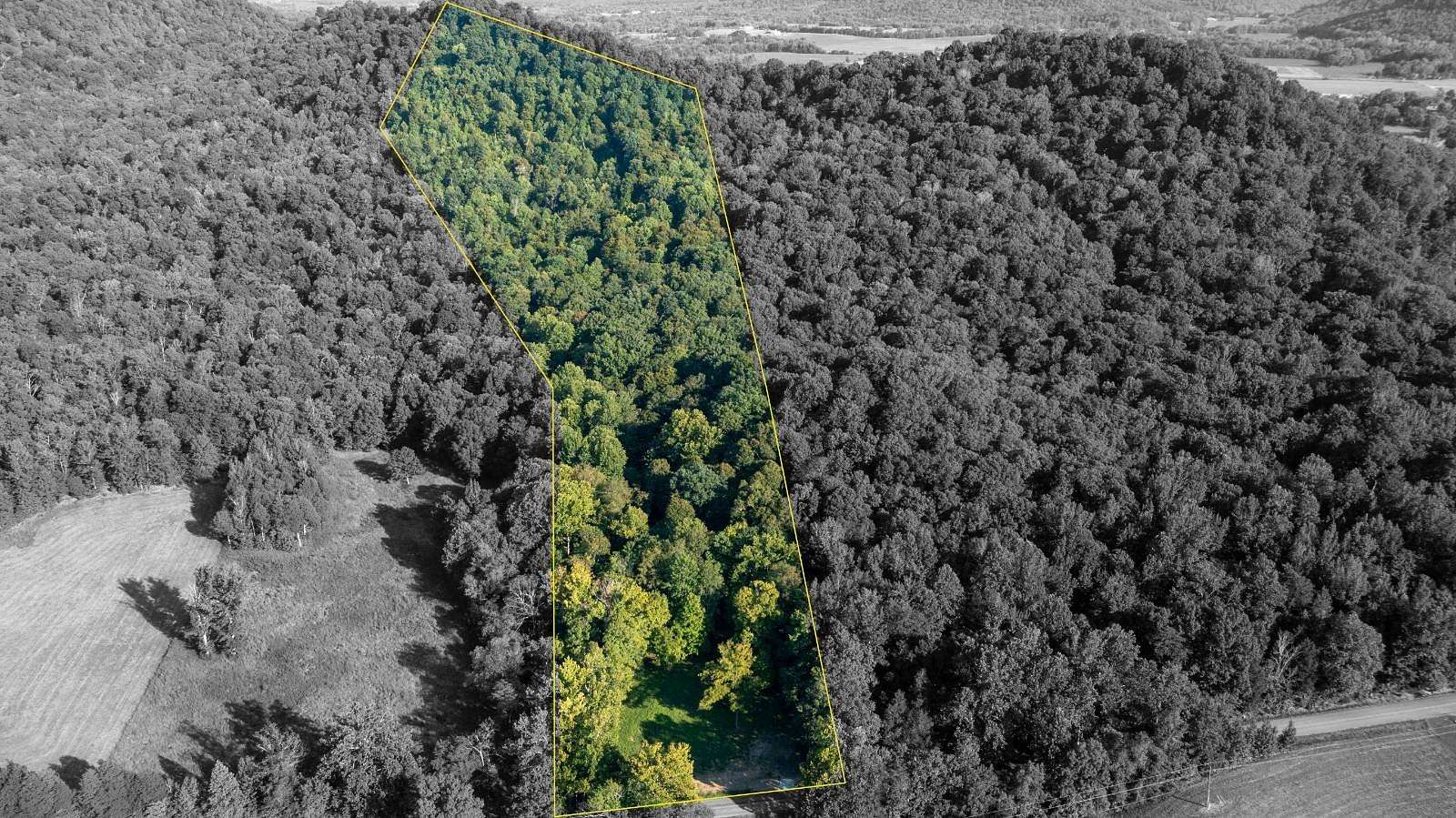 19.6 Acres of Land for Sale in New Hope, Kentucky