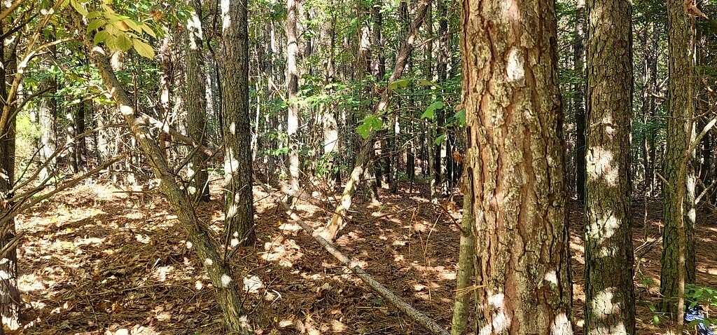 1.5 Acres of Residential Land for Sale in Spencer, Tennessee