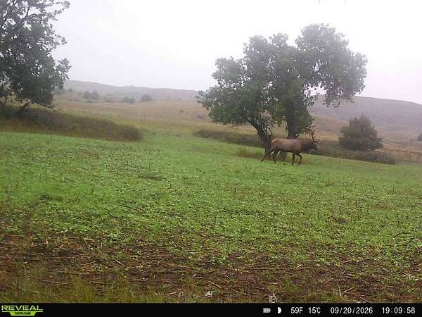 339 Acres of Improved Land for Sale in Lower Brule, South Dakota