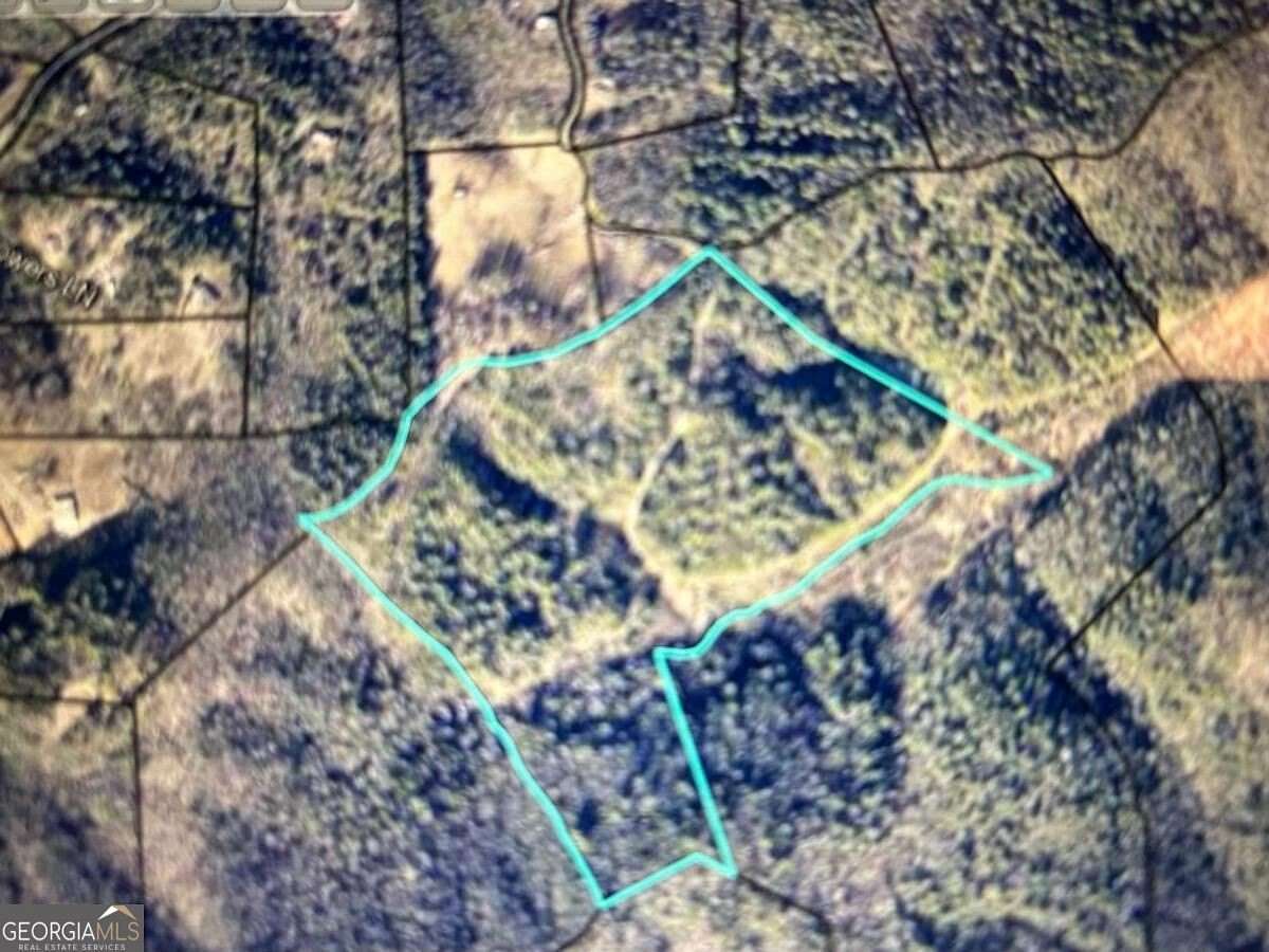 40 Acres of Recreational Land for Sale in Mineral Bluff, Georgia