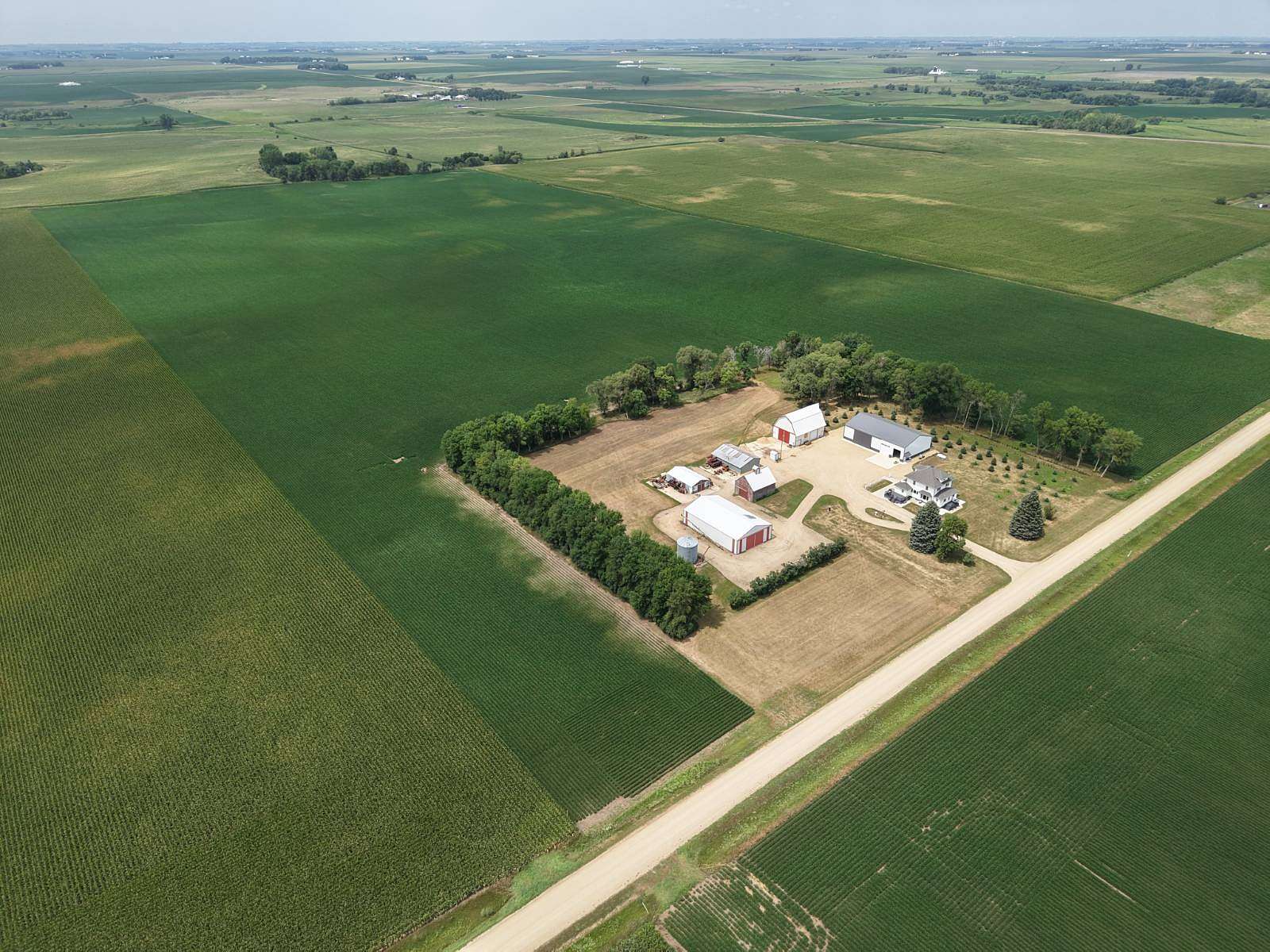 73.4 Acres of Agricultural Land for Auction in Ellsworth, Minnesota