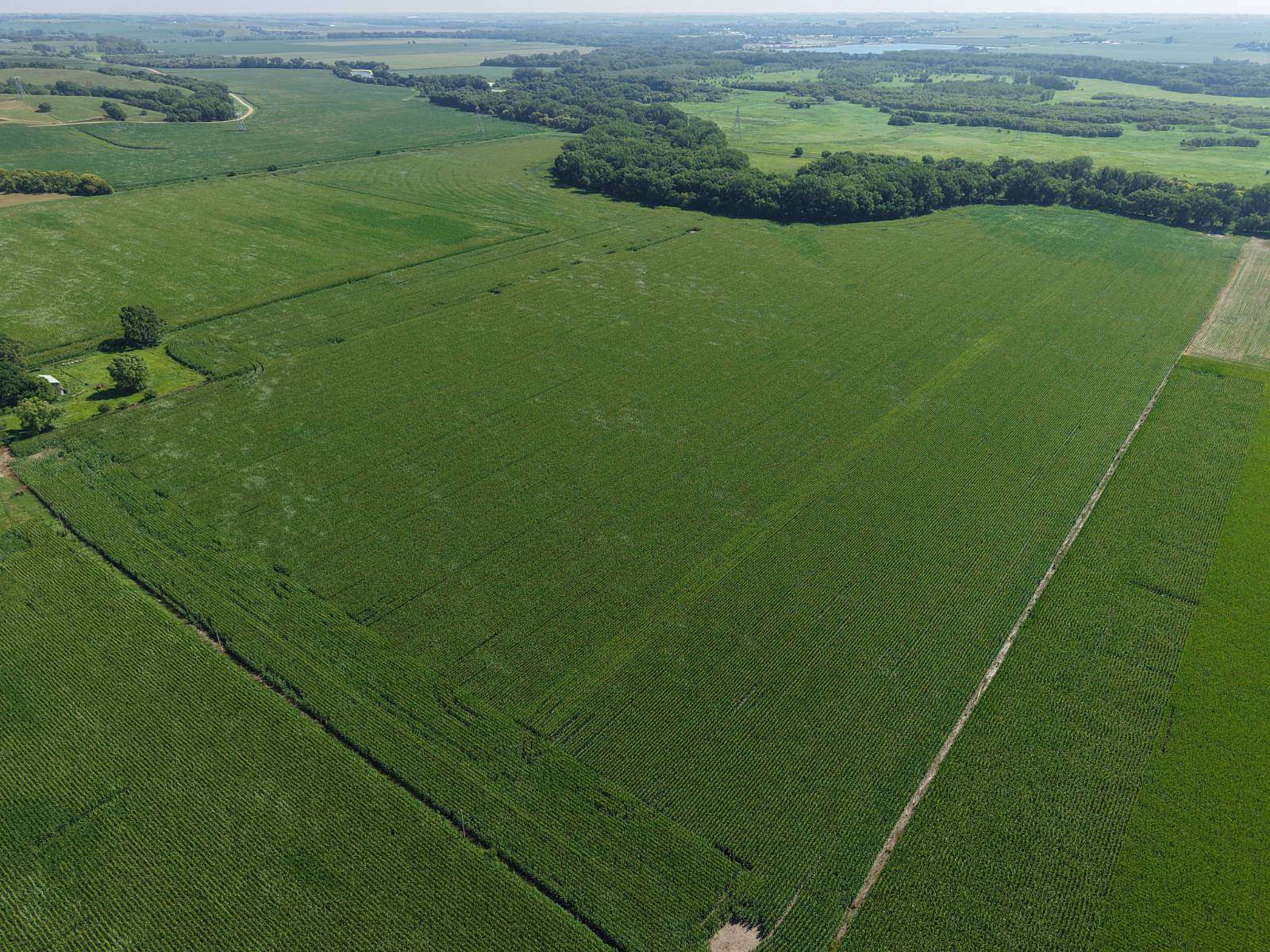 79 Acres of Agricultural Land for Auction in Richland, South Dakota