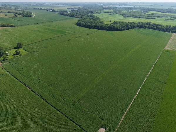 79 Acres of Agricultural Land for Auction in Richland, South Dakota