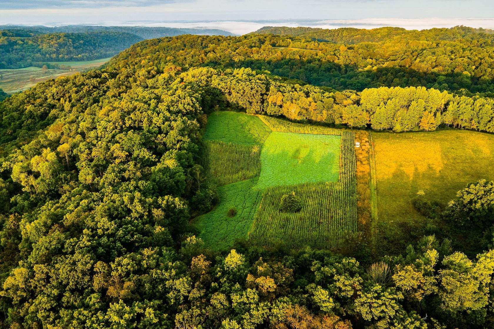 75.6 Acres of Recreational Land for Sale in Muscoda, Wisconsin